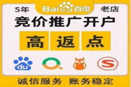百度运营推广策略：成功案例解析